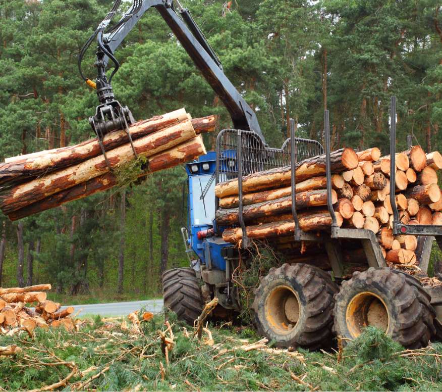Forestry Hydraulics